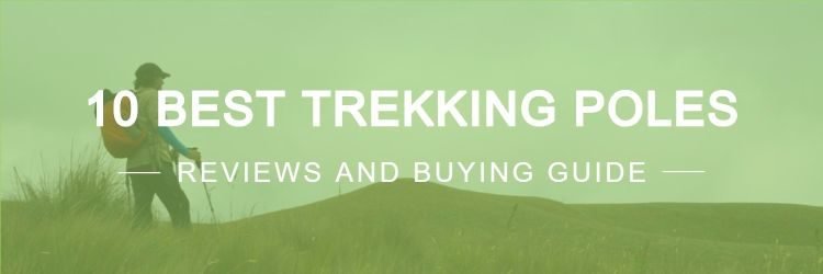 Best Trekking Poles