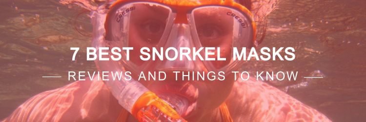 Best Snorkel Masks