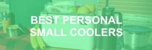 Best Personal Small Coolers