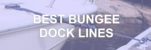 Best Bungee Dock Lines