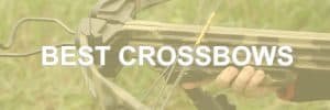9 Best Crossbows 2025